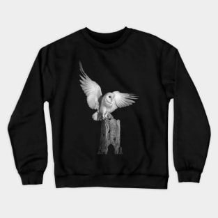 OWL Crewneck Sweatshirt